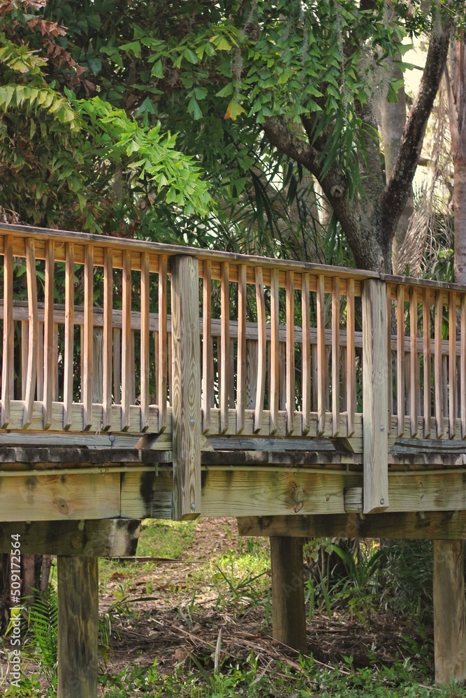 Fototapeta premium wooden bridge in the jungle