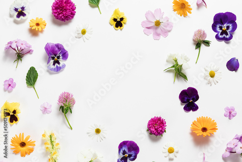 Fototapeta Naklejka Na Ścianę i Meble -  Spring and summer flower composition pattern on white background. Border frame, copy space. Festive flower concept with garden pansy, camomile, colorful buds, branches and leaves. Flat lay, top view.