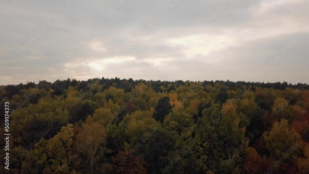 Cool shots of the autumn forest and cloudy sky from a quadcopter. Wonderful shots of nature in motion Cool shots of the autumn forest and cloudy sky from a quadcopter. Wonderful shots of nature in motion