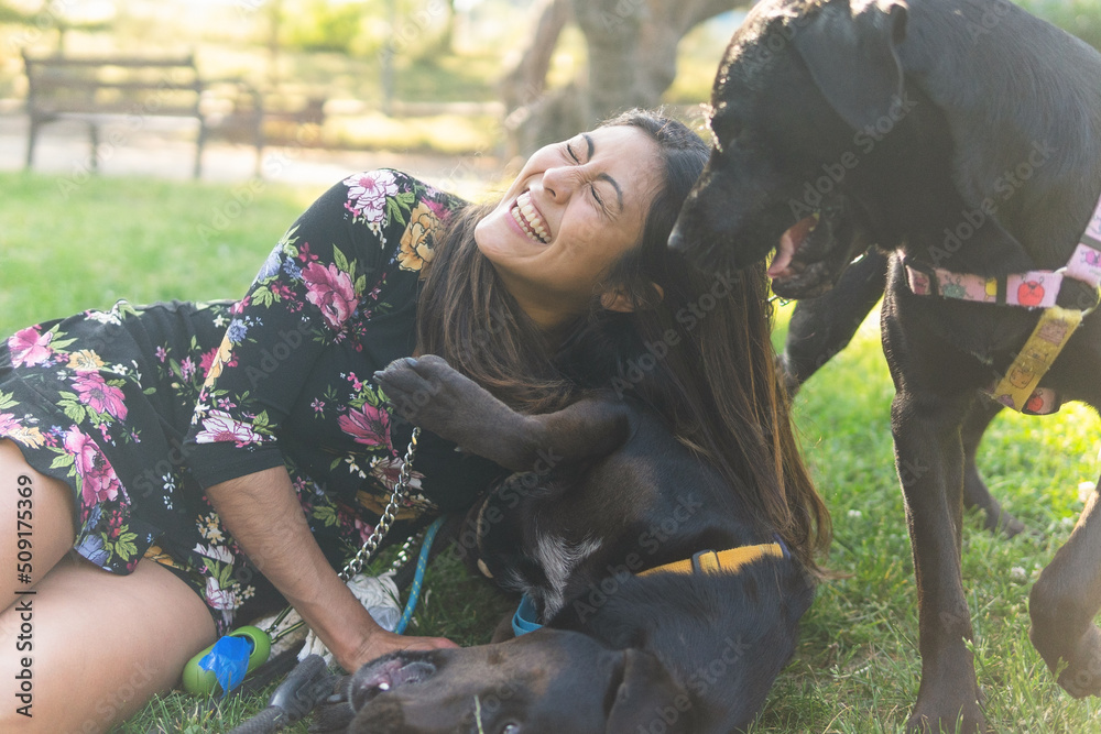 Happy woman playing with dogs on lawn Happy woman playing with dogs on lawn