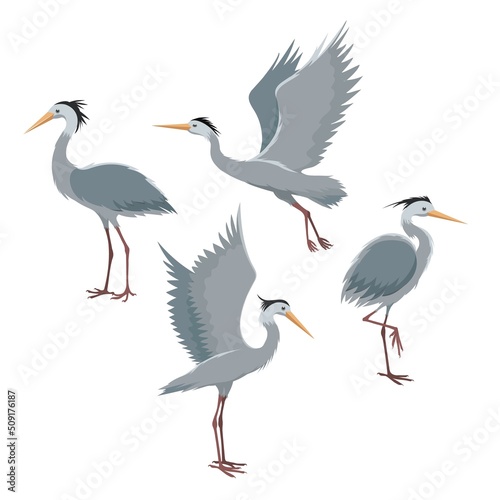 Fotografia Fly and stand herons