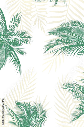 palm tree leaves on white background