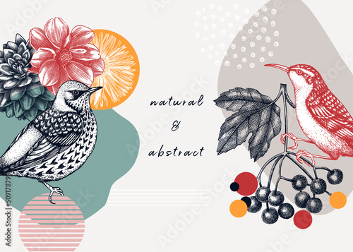 Collage style bird background. Sketched bird trendy frame. Creative background with botanical illustration, geometric shapes, and abstract elements. Perfect for print, wall art, packaging