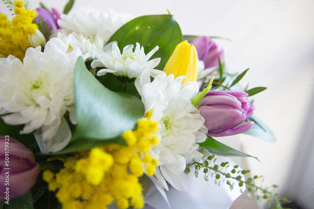 bouquet of white and yellow tulips bouquet of white and yellow tulips