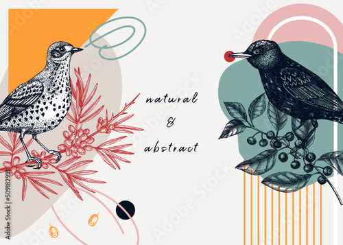 Collage style bird background. Sketched bird trendy frame. Creative background with botanical illustration, geometric shapes, and abstract elements. Perfect for print, wall art, packaging