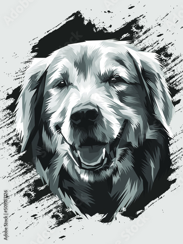 black and white dog
