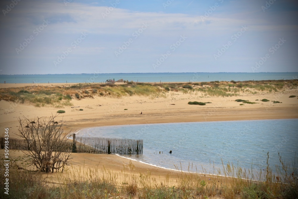 beach and grass