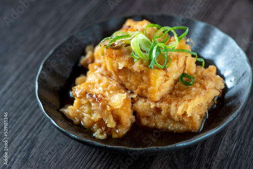揚げだし豆腐
 photo