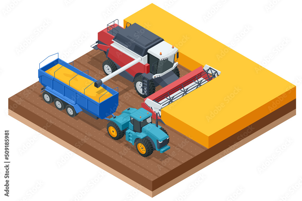 Grain harvesting combine. Combine harvester harvests ripe wheat. Agriculture concept. Reaping, threshing, gathering, and winnowing Grain harvesting combine. Combine harvester harvests ripe wheat. Agriculture concept. Reaping, threshing, gathering, and winnowing