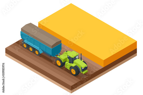 Grain harvesting combine. Combine harvester harvests ripe wheat. Agriculture concept. Reaping, threshing, gathering, and winnowing