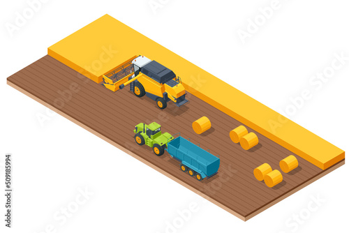 Grain harvesting combine. Combine harvester harvests ripe wheat. Agriculture concept. Reaping, threshing, gathering, and winnowing