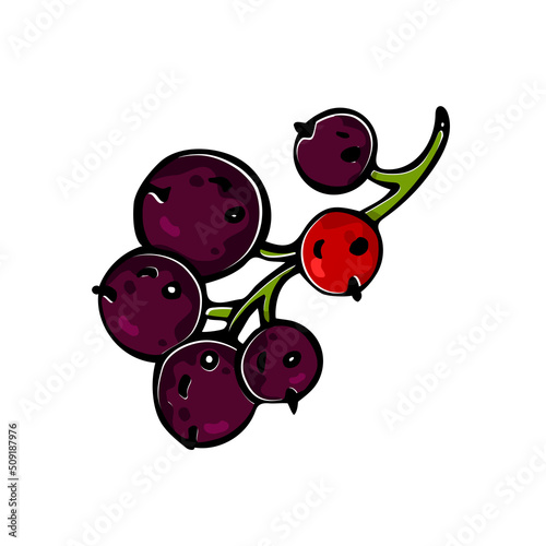 Cartoon fresh currant on white background. Great berries illustration for your food design. Vegan, vegetarian, raw food diet.