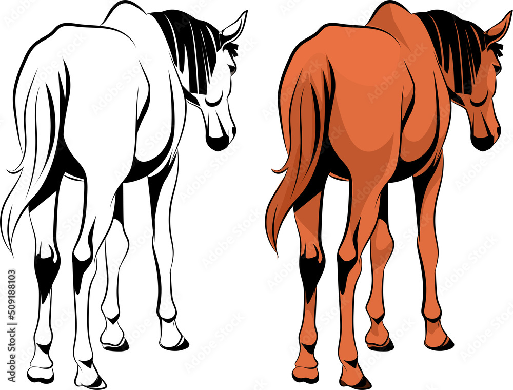 Realistic horse standing illustration sketch and color Stock Vector