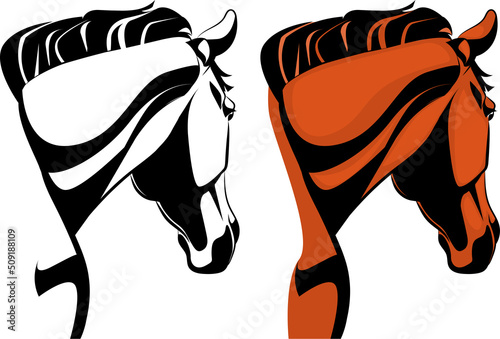 Realistic horse Head illustration sketch and color