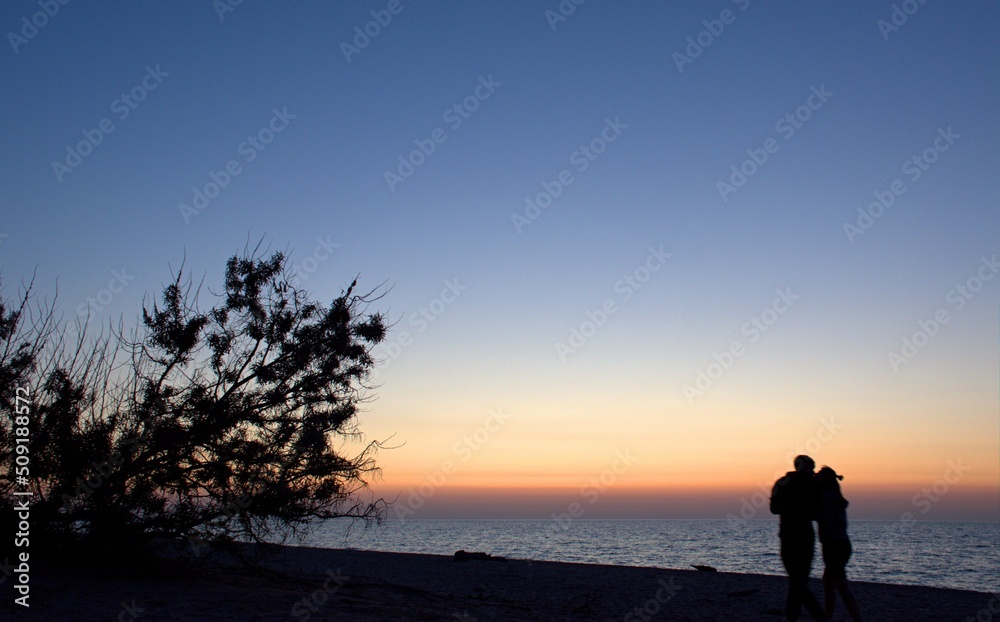 Fototapeta premium Sea kiss. Silhouette of a couple in love kissing on the background of the blue sea and the blue sky at sunset.