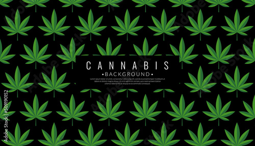 Abstract green cannabis background with marijuana leaves pattern seamless. Herb concept. Vector illustration.