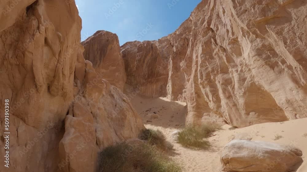POV Into Sandstone Canyon In Egypt With Bush Plants. Slow Tilt Up POV Into Sandstone Canyon In Egypt With Bush Plants. Slow Tilt Up