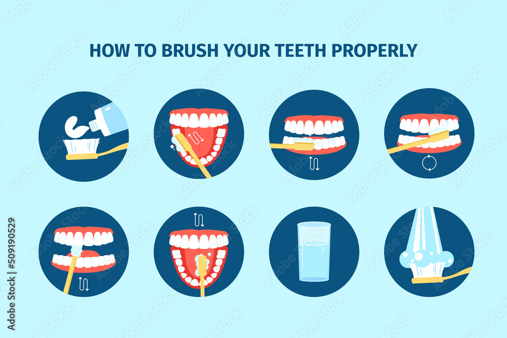 Teeth hygiene. Dentists tooth cleaning instruction with brush and paste. Clean mouth, washing or everyday stomatology hygiene, recent vector poster