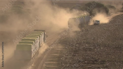 Trucks taking straw to market photo