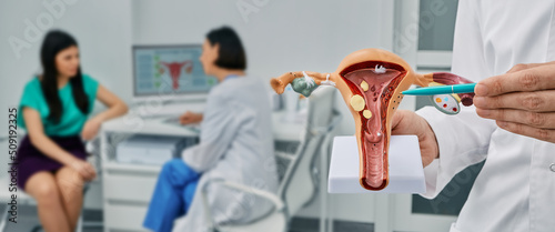 Diagnostic and medical care of gynecological disease. Gynecologist showing anatomical model uterine over gynecological consultation of woman patient with doctor