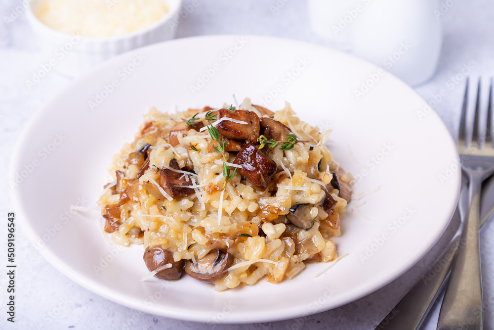 Risotto with porcini mushrooms. Traditional Italian dish. Close-up, horizontal orientation. Risotto with porcini mushrooms. Traditional Italian dish. Close-up, horizontal orientation.