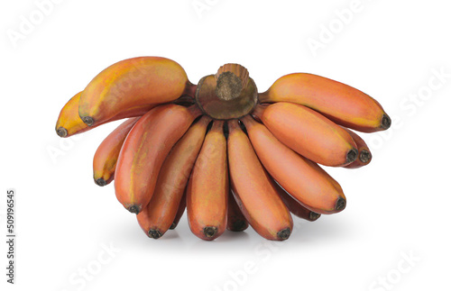 fresh red banana isolated on white background with Clipping Path, group of varieties of banana with reddish-purple skin. photo