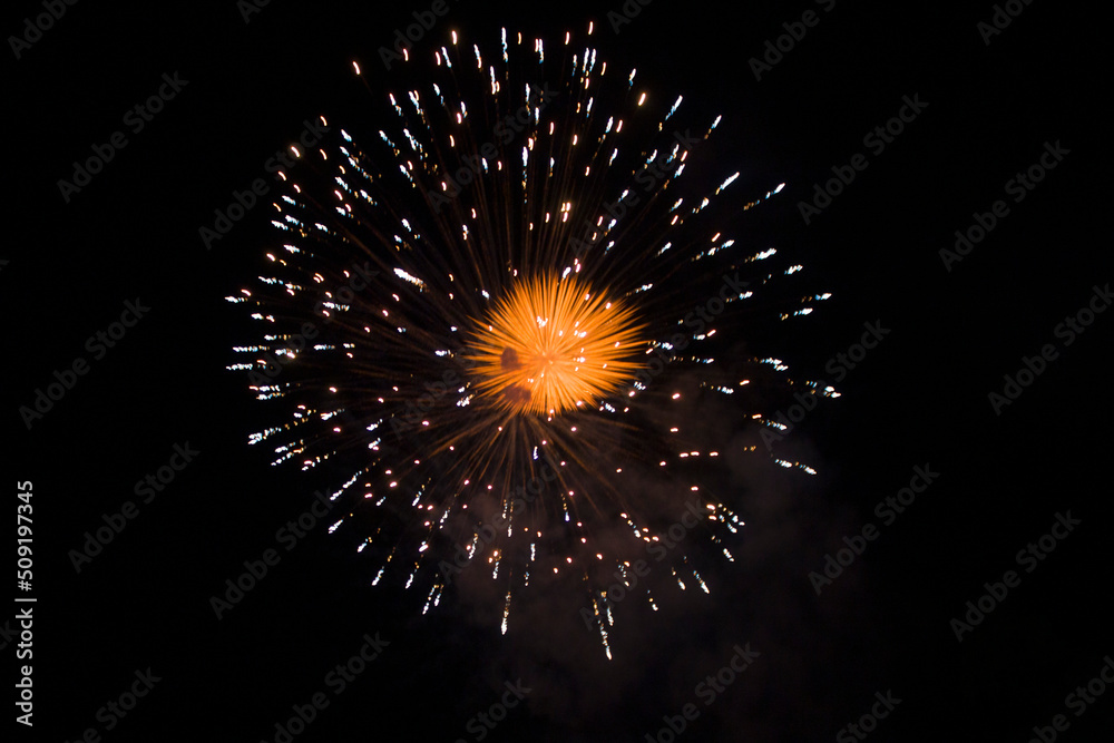 firework firework