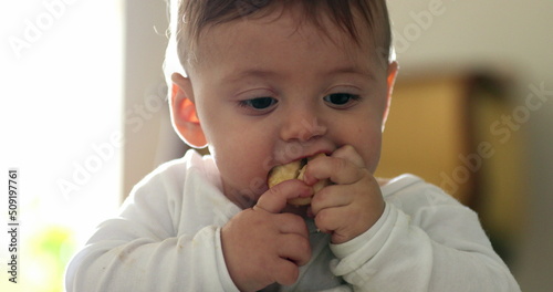 Messy baby infant eating applie fruit