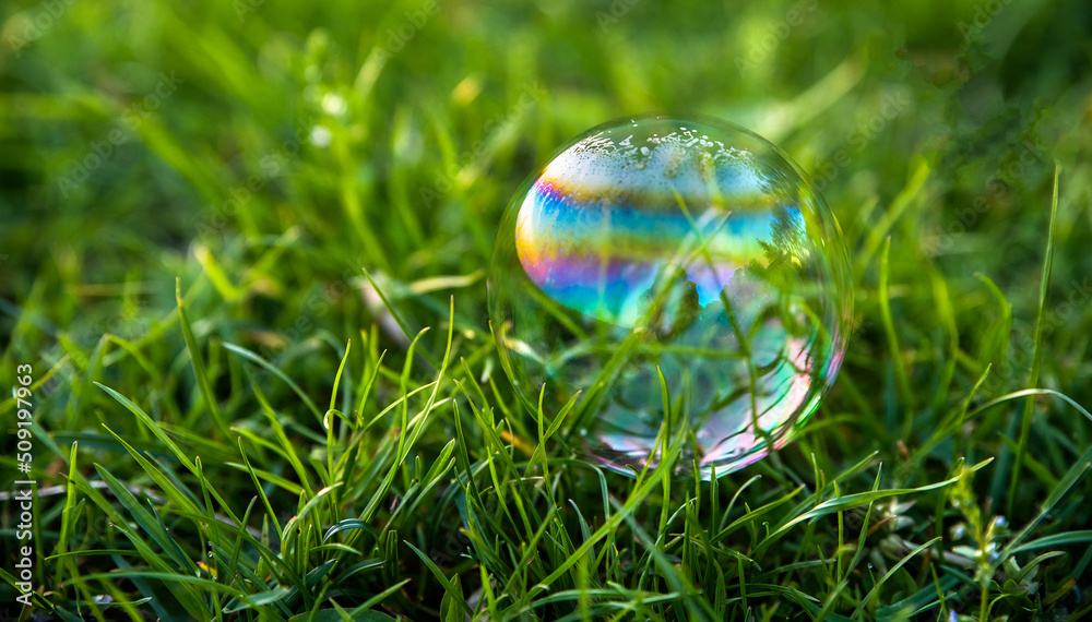 Rainbow soap bubbles on green grass. Rainbow soap bubbles on green grass.