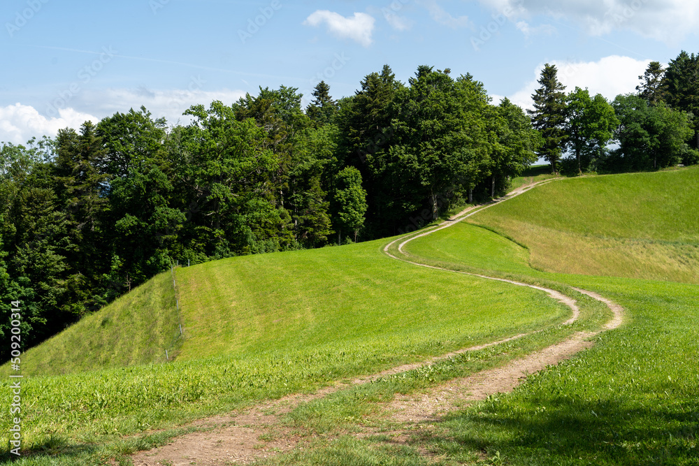 Naklejka premium Schweiz Hügel und Bergland