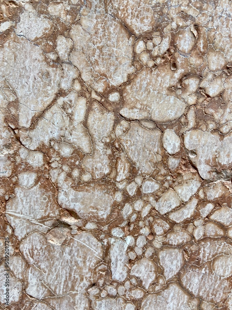 stone wall texture stone wall texture