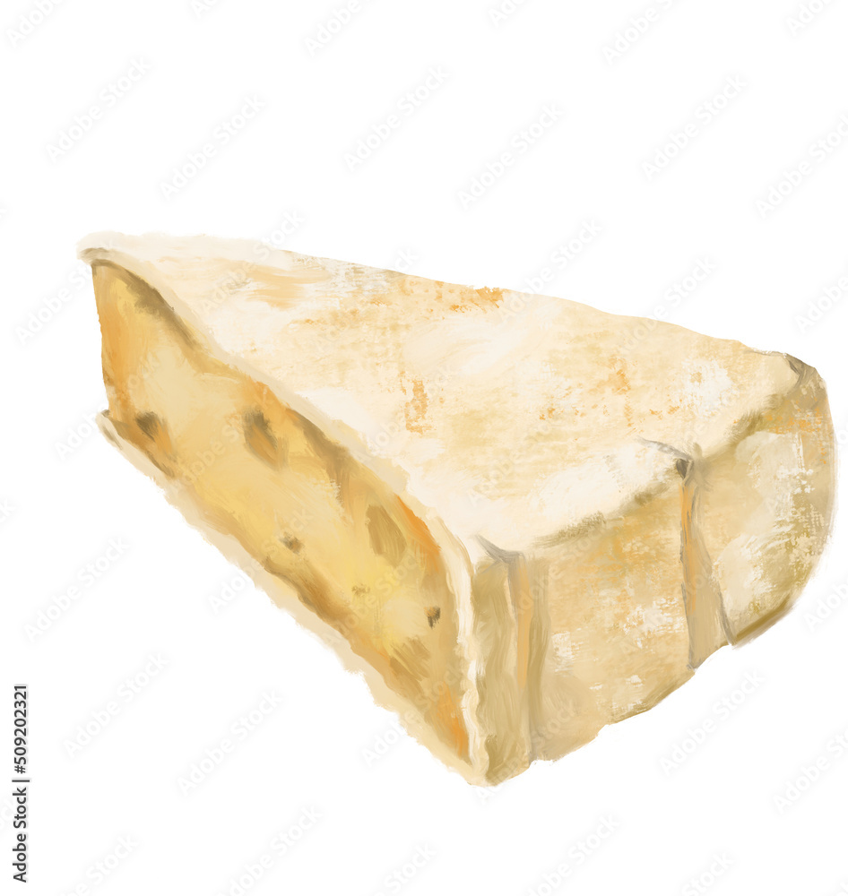 Brie Cheese wheel white mold creamy milky taste digital oil painting illustration