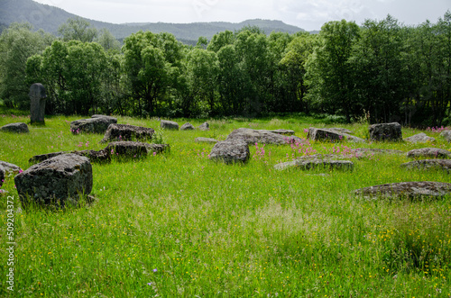 The old medieval necropolis called Stecci in Central Bosnia. Medieval tombstone called Stecak near the town of Novi Travnik. Necropolis called Maculje in the heart of Bosnia and Herzegovina.