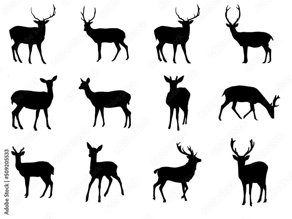 Deer vector icon illustration design Stock Vector Image Art. Deer black design [Converted]