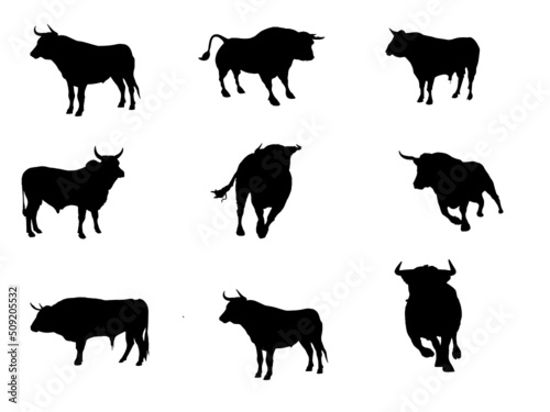 Cattle Bull Vector graphics Silhouette  illustration isolated on white back ground