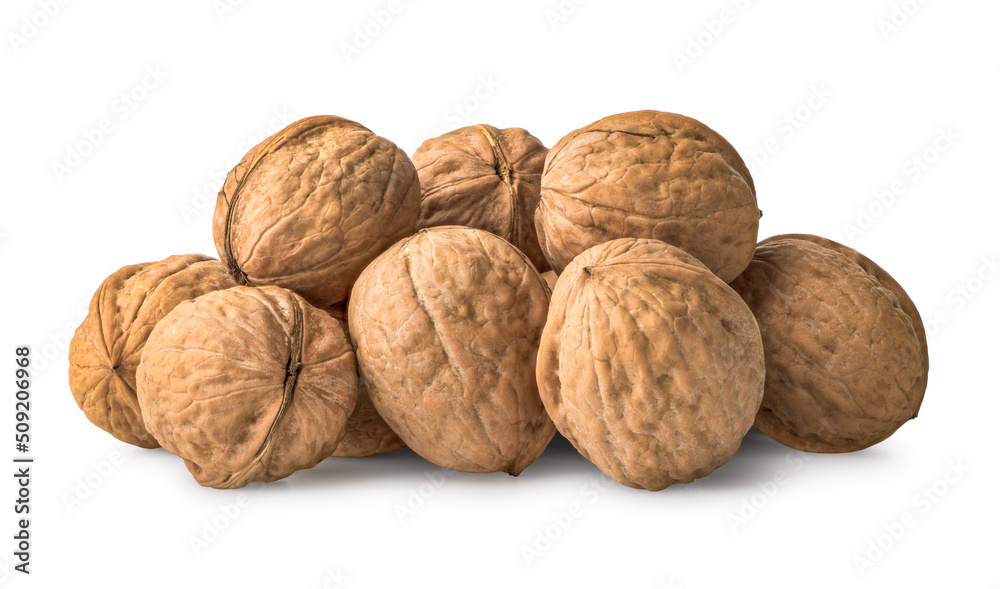 Heap of walnuts