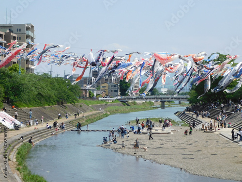 鯉のぼりが泳ぐ芥川桜堤公園(大阪府高槻市で2022年5月撮影)