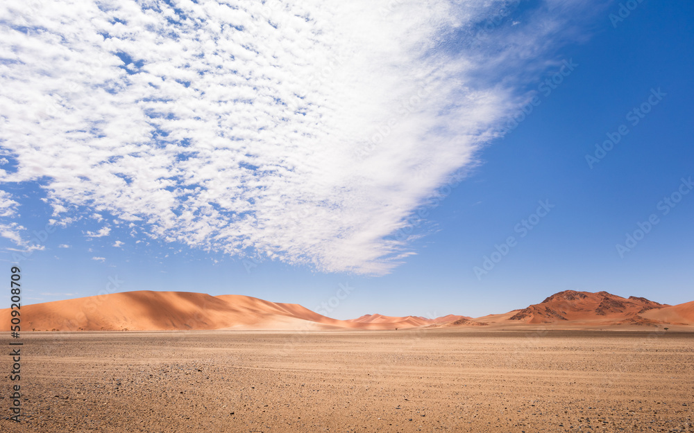 Fototapeta premium sand dunes in the desert