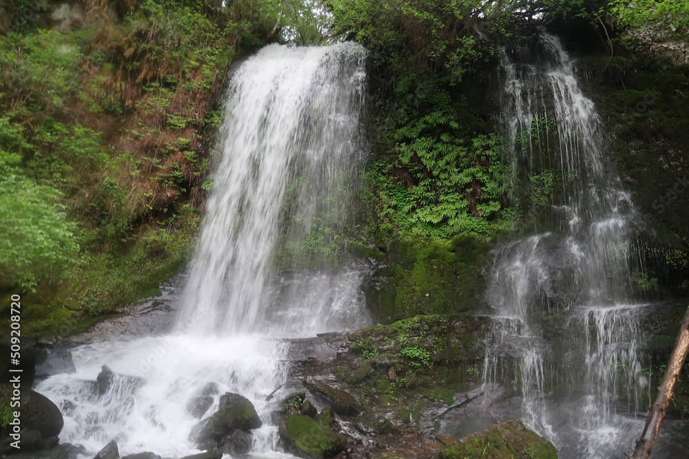 McDowell Creek Falls, Oregon McDowell Creek Falls, Oregon