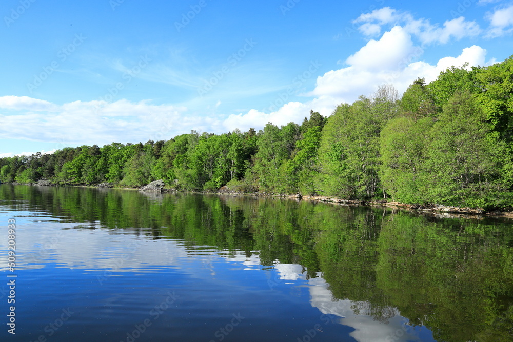 Calm summer lake. Reflection of the forest in the water. Green trees and blue sky. Mälaren, Stockholm, Sweden, Scandinavia, Europe.
