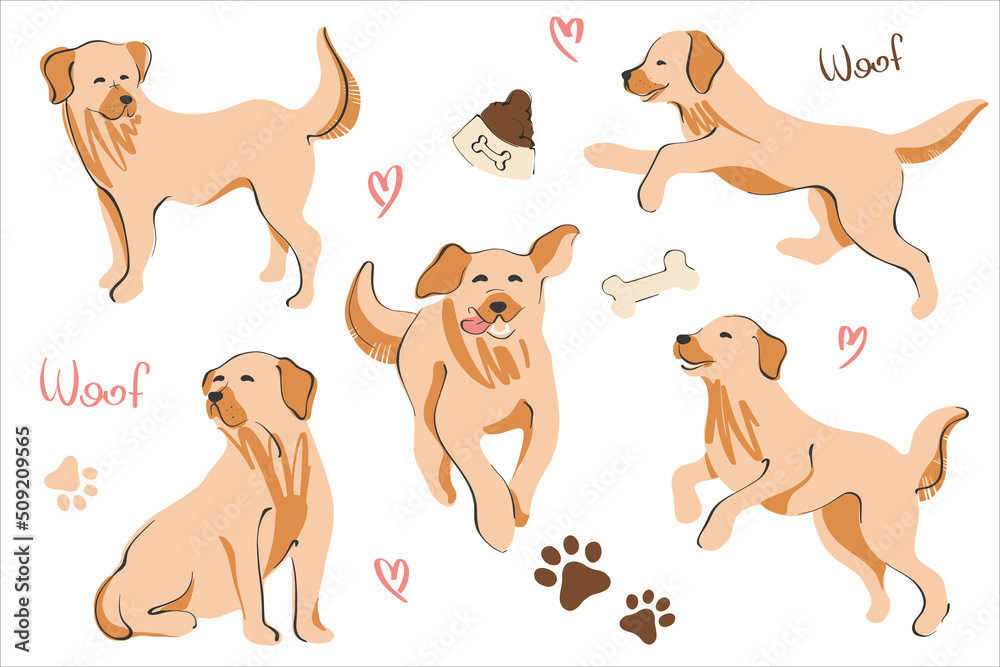 Dogs labrador and retriever in different poses. Set for adult gold and puppies. Set with elements of bowls and bones. Vector illustration in a flat style.