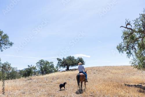 Trail Riding in Santa Barbara, California, Dog and Owner on Horseback Ride