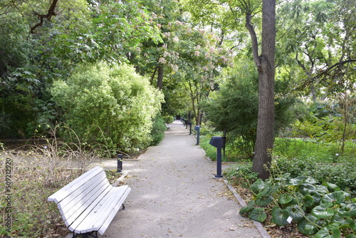 Valencia, Spain - 11 november 2019: A bench on the sidewalk in the Botanical Garden in Valencia photo