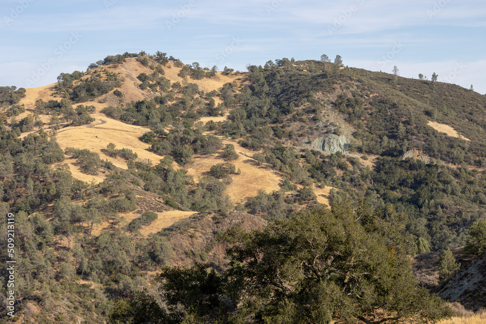 Los Olivos California Mountain Landscape