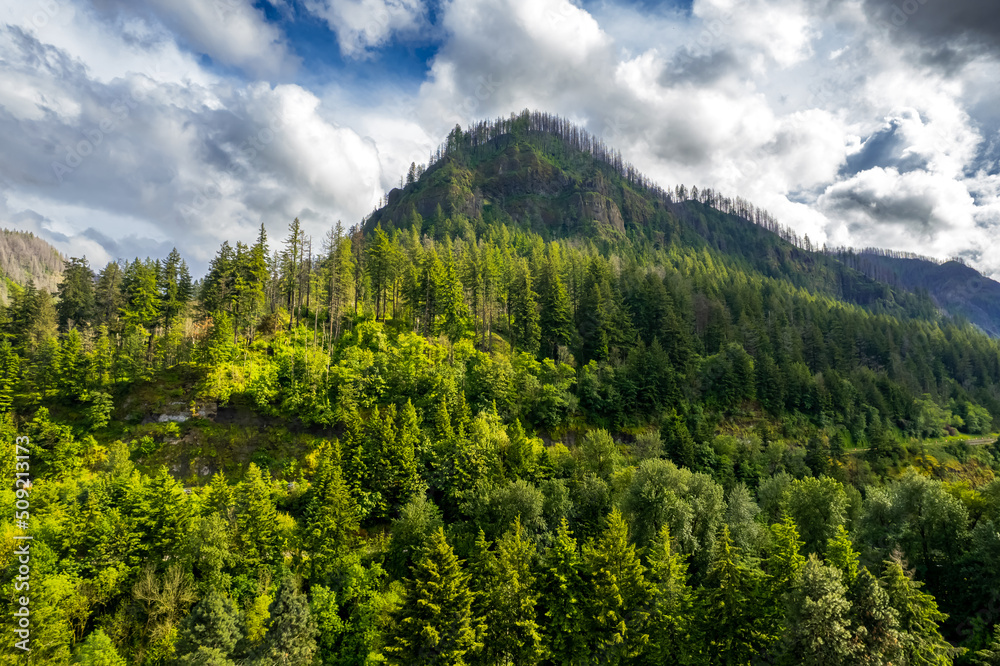 Mountain at the River Gorge