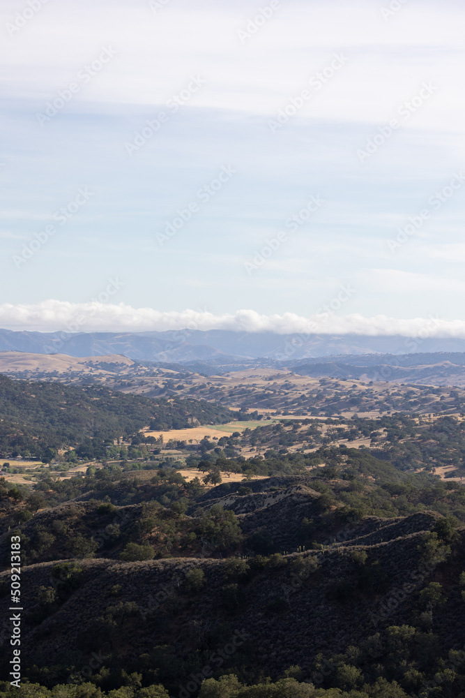 Los Olivos California Rolling Hills Landscape