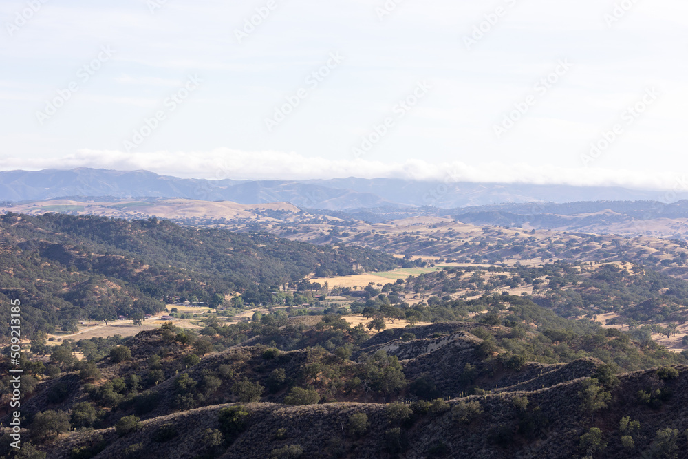 Santa Barbara County Landscape, Town of Los Olivos