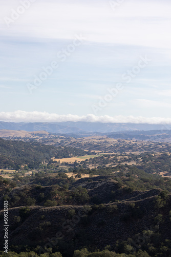 Los Olivos California Rolling Hills Landscape