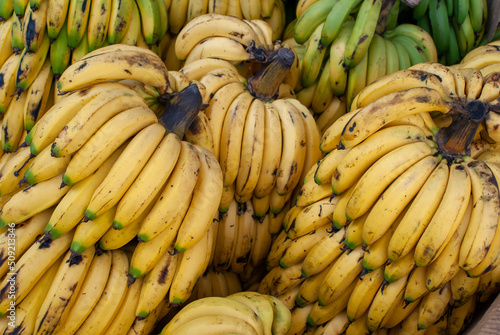 Banana bunches for sale at the Cuenca market in Ecuador.