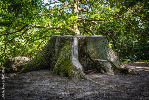 Die Schlösser von Laxenburg in der Gemeinde Laxenburg in Niederösterreich, sechs Kilometer südlich zum Bundesland Wien. Im großen Schlosspark befinden sich das Alte Schloss, Blaue Hof und Franzensburg